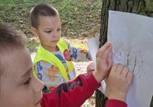 Odciskanie kory drzewa na kartce.