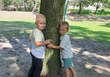 chłopcy przytulają drzewo