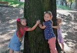 dziewczynki z grupy żabki przytulają drzewo