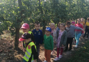 Dzieci spacerują po sadzie.
