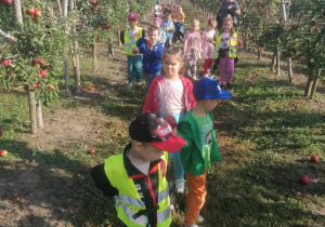 Dzieci spacerują po sadzie.