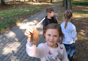 Dziewczynka w parku trzyma w ręce znalezioną szyszkę