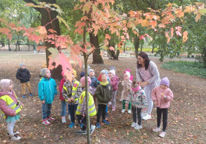 Dzieci obserwują zmiany w przyrodzie jakie zachodzą jesienią.