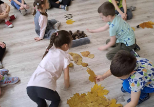 Dzieci na podłodze układają rytmy z darów jesieni