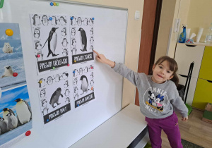 Dziewczynka wskazuje pingwiny na tablicy demonstarcyjnej.