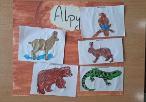 Plakat ze zwierzętami żyjącymi w Alpach.
