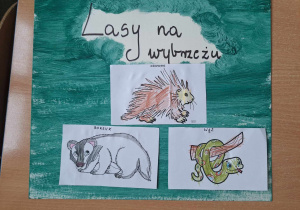 Plakat ze zwierzętami żyjącymi w lasach na wybrzeżu Włoch.