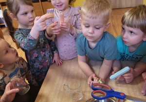 Dzieci obserwują właściwości magnesu. Oglądają, jakie przedmioty są przyciągane przez magnes.