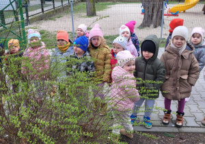 Dzieci oglądają krzew, naktórym pojawiają się małe pączki, z których rozwijają się listki.