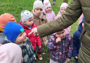 Dzieci podziwiają zapach fiołków, które zakwitły w przedszkolnym ogrodzie.