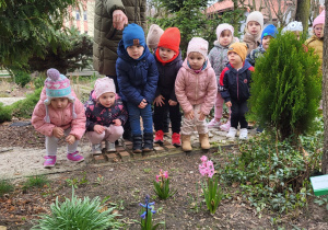 Dzieci podziwiają kwiaty, które zakwitły w przedszkolnym ogrodzie.