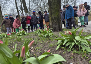 Dzieci oglądają kwitnące tulipany