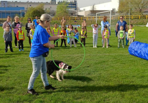 Dzieci ogladają pokaz trenerski z psem.