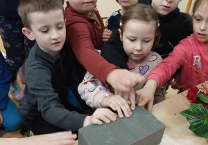 Dzieci oglądają przyniesione przez Panią florystkę przedmioty.