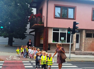 Jeżyki przechodzą przez przejście dla pieszych podczas wyświetlania się zielonego światła.ia