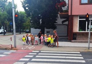 Jeżyki stoją przy przejściu dla pieszych, w oczekiwaniu na zielone światło.