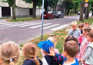 Dzieci oglądają znaki drogowe umieszczone przed przejściem dla pieszych w pobliżu szkoły.