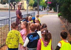 Jeżyki oglądają sygnalizację świetlną dla pojazdów poruszających się po jezdni.