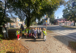 Dzieci na skrzyżowaniu czekają na zielone światło