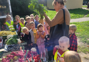 Dzieci z grupy Jeżyków na wycieczce w warzywniaku.