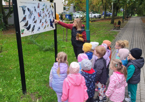 Dzieci oglądają tablicę edukacyjną z ptakami, które można spotkać w polskich parkach, lub w lasach.