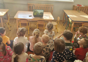Zdjęcie 4 na 11
