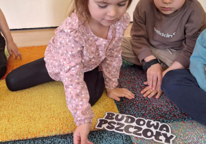 dziewczynka kładzie podpis do budowy pszczoły