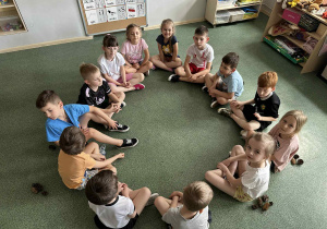 Dzieci siedzą w kręgu z szyszkami za plecami.