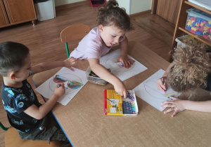 Zdjęcie 3 na 10