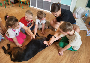 Zdjęcie 13 na 16