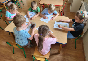 Zdjęcie 5 na 6