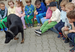pies szuka tropu koło dzieci