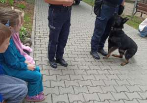 pies stoi przy policjancie