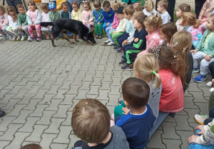 pies przechodzi węsząc koło dzieci