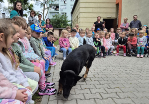 Dzieci siedzą na ławce, przed nimi węszy pies