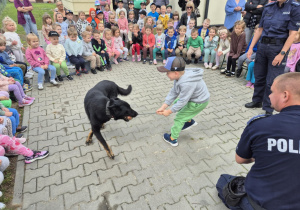 Dziecko bawi się z psem policyjnym