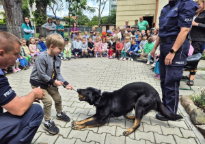 Dziecko bawi się z psem policyjnym