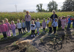 Dzieci oglądają narzędzia rolnicze
