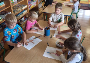 Zdjęcie 11 na 12