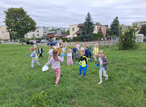 Akcja sprzątanie świata