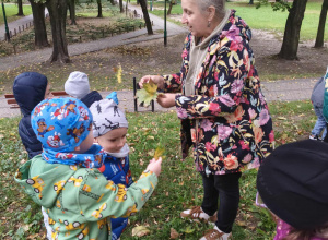 W poszukiwaniu Jesieni.