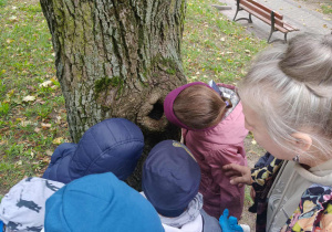 Dzieci obserwują zmieniajacą sie przyrodę.