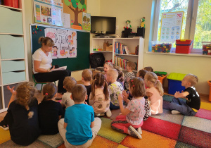 Zdjęcie 12 na 13