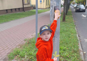 Chłopiec przed przejściem dla pieszych.