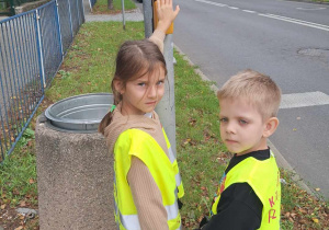 Wiewióreczki przed przejściem dla pieszych.
