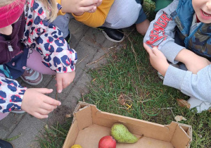 Dzieci oglądają owoce.