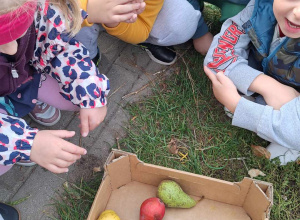 Wycieczka do warzywniaka