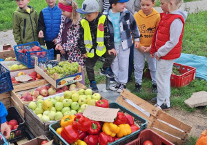 Dzieci oglądają stragan z owocami i warzywami.