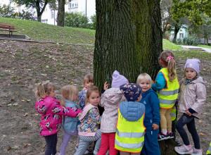 OGÓLNOPOLSKA KAMPANIA 'PRZYTUL SIĘ DO DRZEWA"