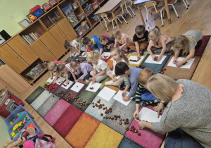 Dzieci siedzą na dywanie, układają kasztany na kartkach papieru